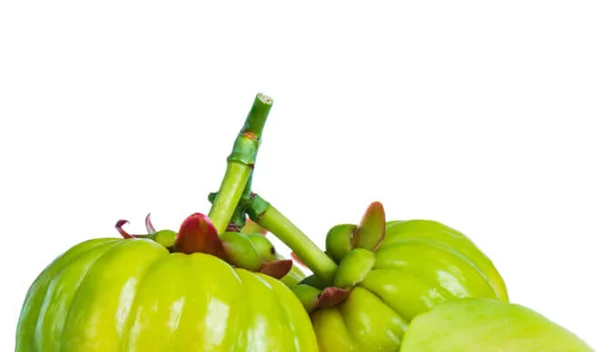 Εκχύλισμα Garcinia Cambogia για αδυνάτισμα: Τα επιστημονικά δεδομένα