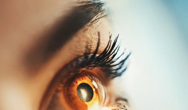 Πώς "γερνάνε" τα μάτια; Οι φάσεις της γήρανσης του φακού των ματιών