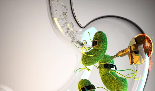 Μικροβίωμα εντέρου: Πώς «μεγαλώνει» μαζί σου