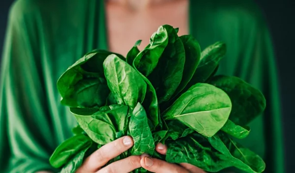 Πώς ΔΕΝ θα πάθεις τροφική δηλητηρίαση από σαλάτα!