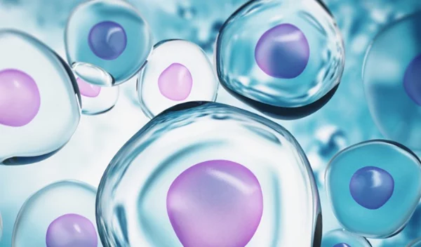 Θεραπεία με βλαστοκύτταρα για παθήσεις σε γόνατα, ώμους, χέρια, χόνδρους και άλλα ορθοπεδικά προβλήματα