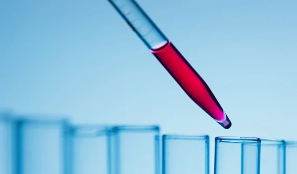 Χοληστερίνη, φωσφολιπίδια, trans λιπαρά: Πώς επηρεάζουν την υγεία μας;