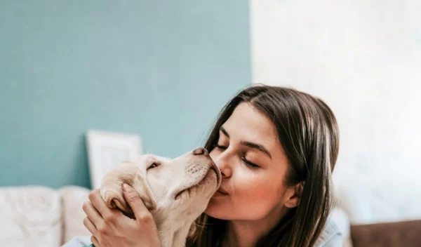 Ποια κατοικίδια διώχνουν περισσότερο το άγχος;