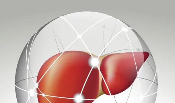 Διάβασε σε 3' σημαντικές πληροφορίες για το συκώτι σου