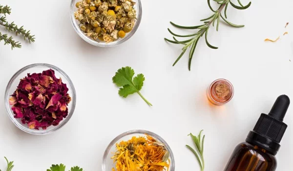 Ποια βότανα λειτουργούν ως φυτικά φάρμακα και για ποιες παθήσεις να τα προτιμήσεις