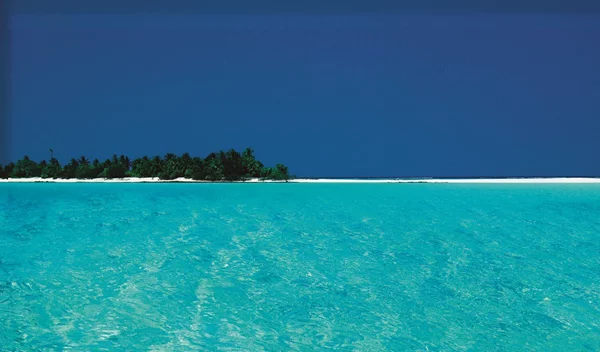 Τι μπορούμε να κάνουμε για να προστατεύσουμε το περιβάλλον;