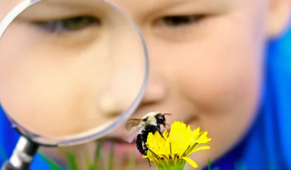 Τσίμπημα σφήκας και μέλισσας: Μάθε τα sos από τον παιδίατρο