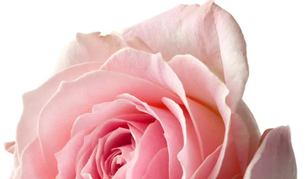 Διάβασε σε 3' τις εξελίξεις για τον μεταστατικό καρκίνο του μαστού