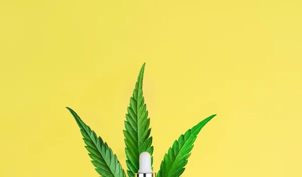 Συμπλήρωμα διατροφής με έλαιο κανναβιόλης CBD: Τι να γνωρίζεις προτού το επιλέξεις