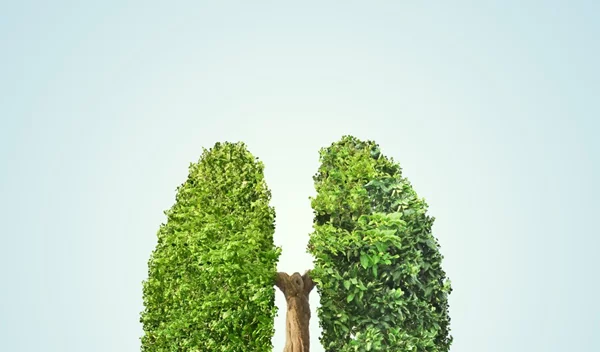 Ανοσοθεραπεία: Ο βασικός «παίκτης» κατά του καρκίνου του πνεύμονα