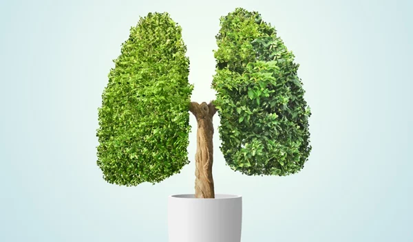 Τι έχει αλλάξει στα δεδομένα για τον καρκίνο του πνεύμονα;