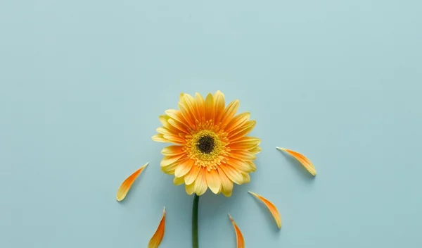 Ιατρεία πόνου: Τι είναι, θα σε βοηθήσουν; πού θα απευθυνθείς;