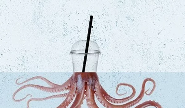 Μένουμε σπίτι χωρίς πλαστικά μιας χρήσης