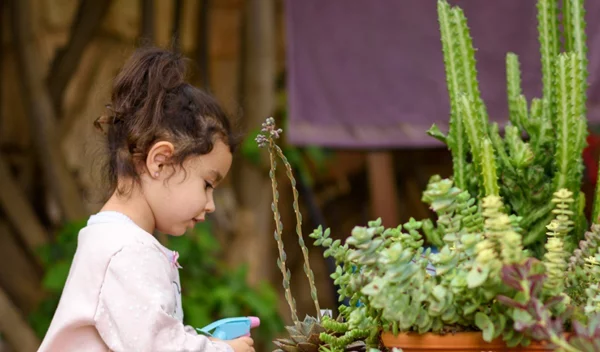 Δραστηριότητες με τα παιδιά: Ώρα για κηπουρική!