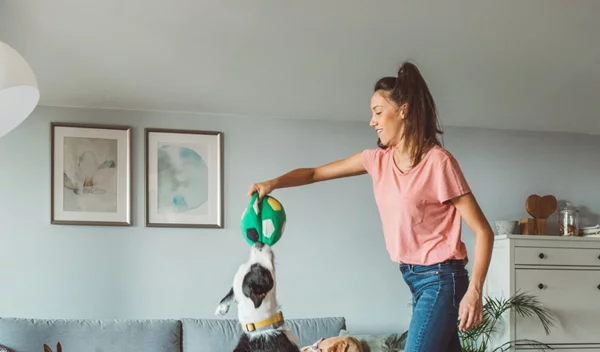 10 προβλήματα συμπεριφοράς του σκύλου και πώς να τα λύσουμε