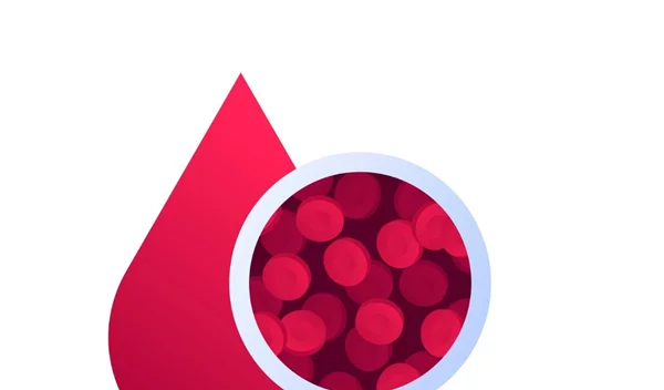 Τι είναι: Τριγλυκερίδια, κορεσμένα, πολυακόρεστα και μονοακόρεστα λιπαρά