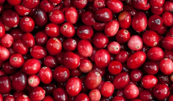 10 sos τροφές για λείο και σφριγηλό δέρμα χωρίς κυτταρίτιδα