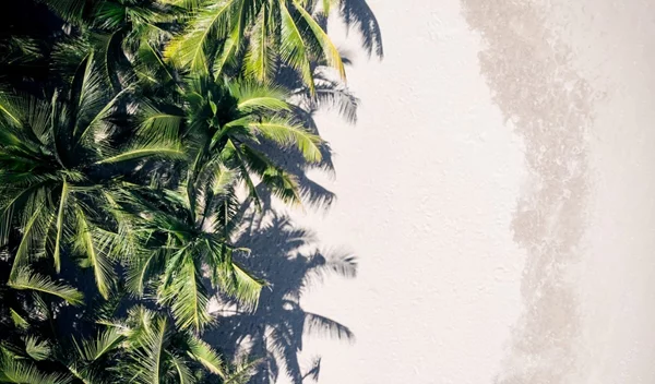 Ζώδια Αύγουστος 2020: Οι προβλέψεις του μήνα