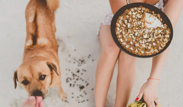 Τι τροφές πρέπει να παίρνουμε στην παραλία; Οι επιλογές της δρ Μαρίας Ψωμά