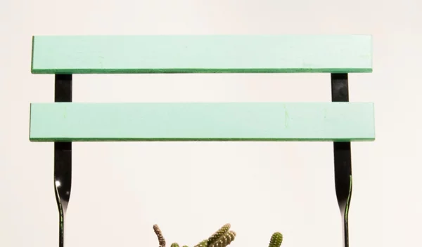 Αιμορροΐδες: Πώς θεραπεύονται με Laser