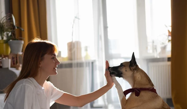 6 λάθη που κάνουμε στην εκπαίδευση του σκύλου