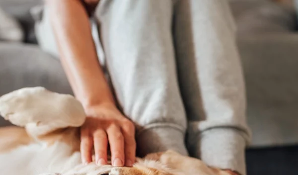 Ζώδια Δεκεμβρίου 2020: Οι μηνιαίες προβλέψεις για όλα τα ζώδια