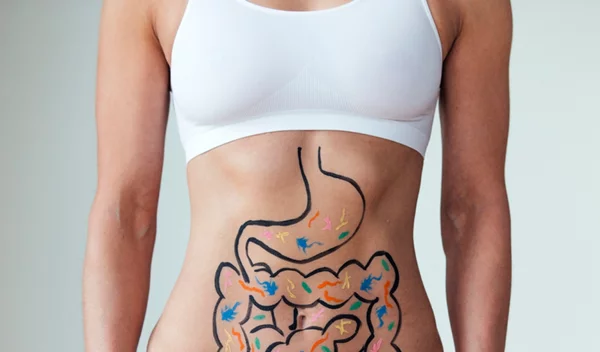 Λεπτό και παχύ έντερο: Όλα όσα πρέπει να ξέρεις