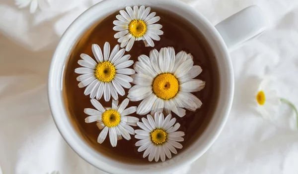 Τα ζώδια σήμερα 3/10: Ημερήσιες προβλέψεις για κάθε ζώδιο