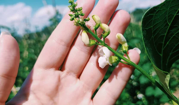 Εσύ ξέρεις πώς φτάνει μια τροφή στο πιάτο σου;