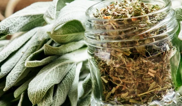 Οι ιδιότητες του φασκόμηλου: Πώς βοηθά στην απώλεια βάρους;