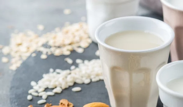 Ποιο φυτικό ρόφημα είναι το καλύτερο; Τα χαρακτηριστικά και οι χρήσεις τους