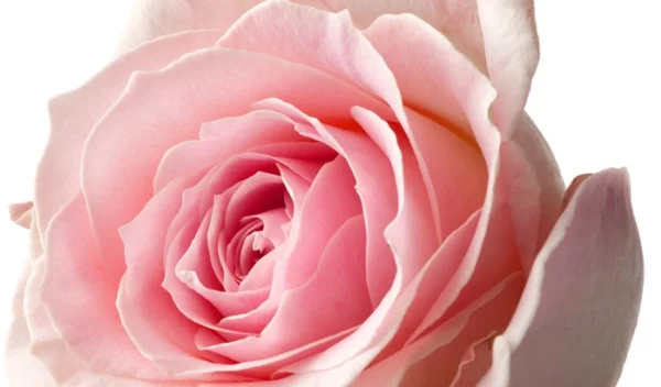 6 ερωτήσεις και απαντήσεις για το μαστογραφικό έλεγχο