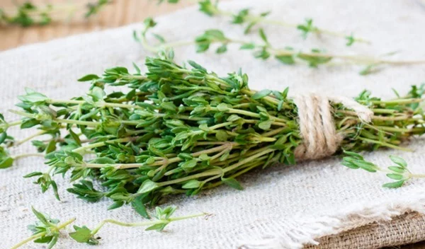 Πότε να μην τρώμε θυμάρι: Οι παρενέργειες που πρέπει να γνωρίζουμε