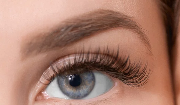 Lash Lift | Όσα πρέπει να ξέρεις πριν κλείσεις ραντεβού