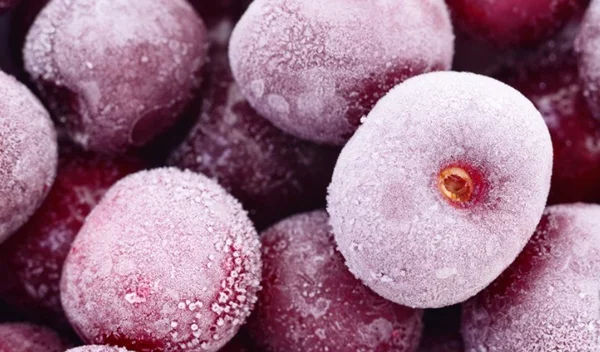 Φρέσκα ή κατεψυγμένα τρόφιμα; Ποια είναι η σωστή επιλογή σε κάθε περίπτωση