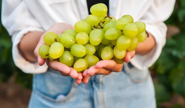 Δοκιμασμένες διατροφικές συνήθειες για καλύτερη υγεία από την editor