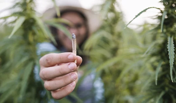 Έρευνα: Πώς μπορεί να επηρεάζει τους πνεύμονες το κάπνισμα κάνναβης
