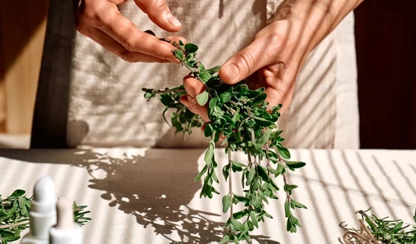 Μια τέλεια ανοιξιάτικη προσθήκη στη διατροφή: Τα οφέλη των ελληνικών βοτάνων