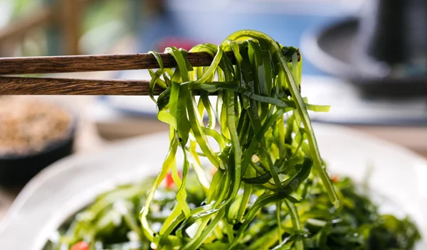 3 φορές περισσότερη πρωτεΐνη! Οι ειδικοί αναλύουν τον διατροφικό θησαυρό των φυκιών