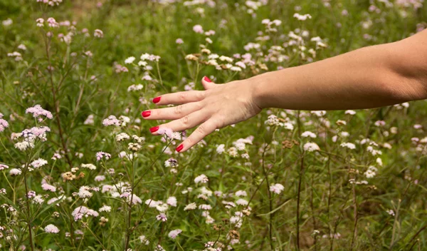 Ξέχασε τα παστέλ: Το μανικιούρ-εμμονή των celebrities, που πρέπει να ζητήσεις