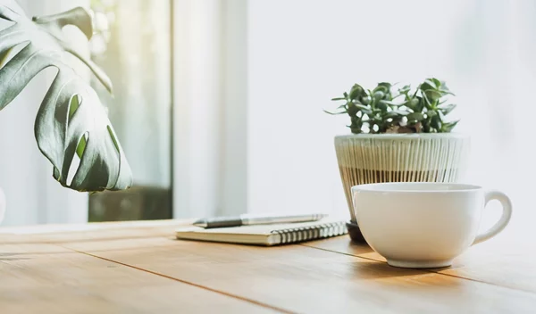 8 βότανα που βοηθούν στην απαλλαγή του οργανισμού από τις τοξίνες