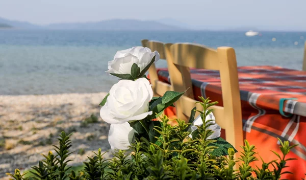 Το πιάτο που δεν πρέπει να παραγγέλνουμε όταν έχει ζέστη και τρώμε έξω