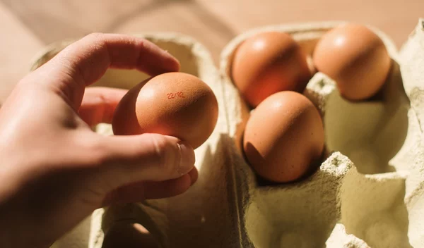 Αυγά: 5 μύθοι που καταρρίπτονται από μία ειδικό