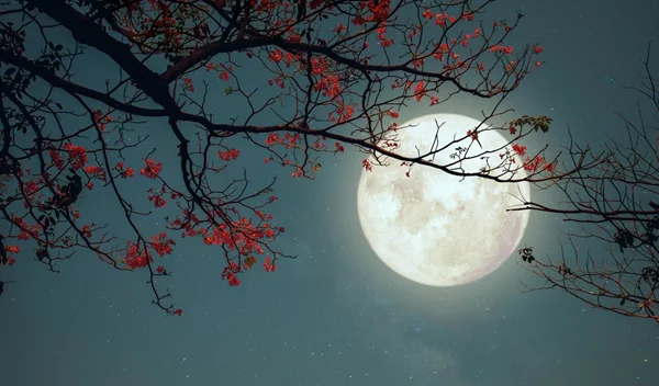 Ανατρεπτική και θυμωμένη η Πανσέληνος στον Κριό στις 17/10/2024: Ποια ζώδια θα πρέπει να προσέξουν;