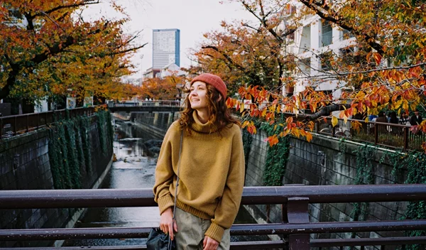 Ημερήσιες προβλέψεις 19/11: Ποια ζώδια ευνοούνται σήμερα;