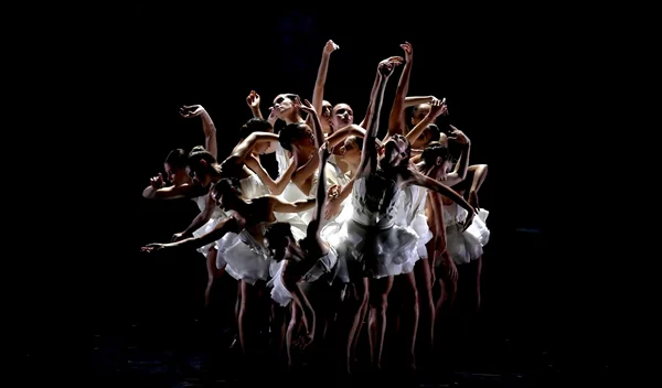 Η λίμνη των κύκνων: Μια μοντέρνα εκδοχή από τον Angelin Preljocaj