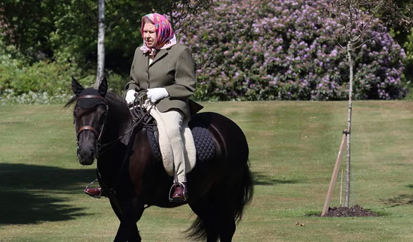 Βασίλισσα Ελισάβετ: Γιατί στενοχωρήθηκαμε περισσότερο στην κηδεία για τα κατοικίδιά της παρά για τα παιδιά της;