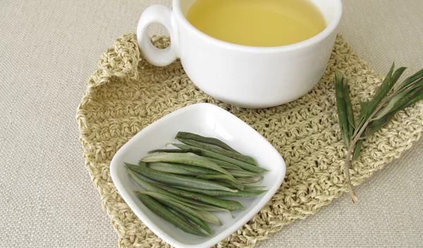 Βελτιώνουν την αρτηριακή πίεση και την υγεία της καρδιάς: Όλα τα οφέλη που έχουν τα φύλλα ελιάς