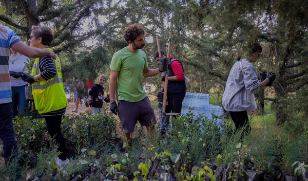 Κοντά στο περιβάλλον: Η Βίκος φύτεψε 1000 δενδρύλλια στην εθελοντική δράση της We4all
