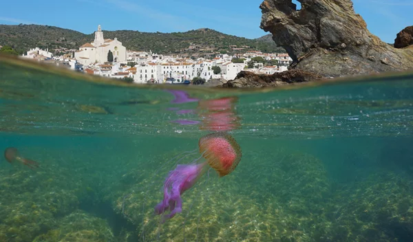 Μωβ μέδουσες: Πόσο επικίνδυνες είναι για τα μικρά παιδιά - Τι κάνουμε αν μας τσιμπήσουν